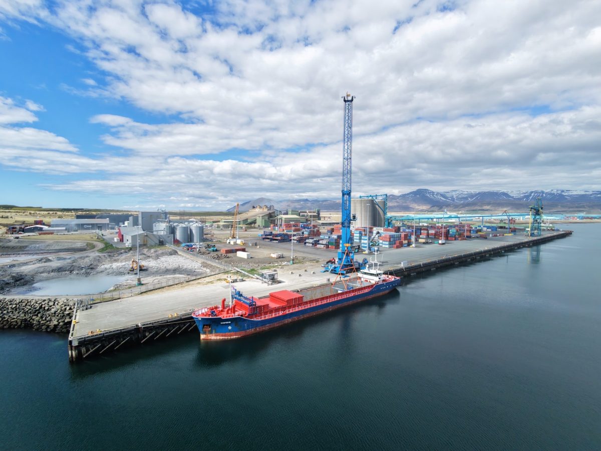 Rimini fleet services